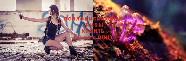 соль курить ск Белокуриха