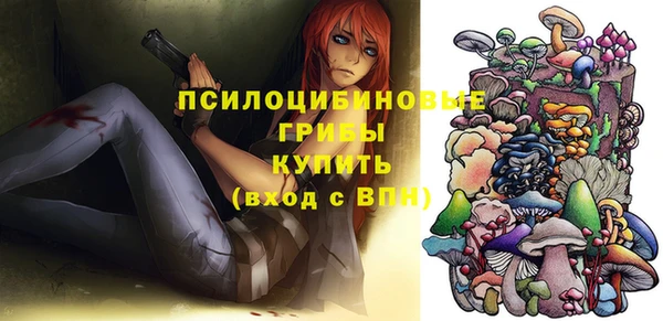 соль курить ск Белокуриха