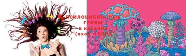 соль курить ск Белокуриха